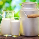 افزایش تولید شیر