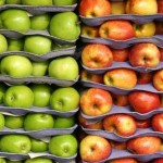 مشوق برای سیب صادراتی