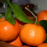 واردات نارنگی