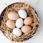 صادرات تخم مرغ رکورد می شکند