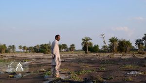 ضرر جبران ناپذیر به کشاورزان خوزستان